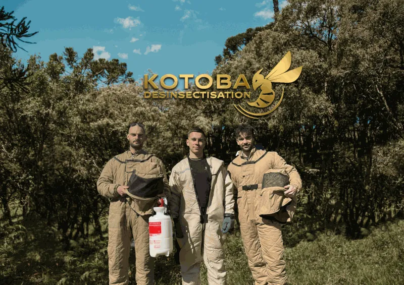 Kotoba Désinsectisation, Destruction de Nid de Frelon Guêpe, Extermination de puce de maison et autres nuisibles