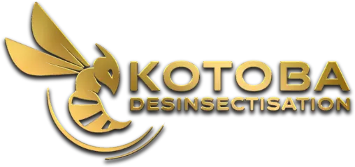Kotoba